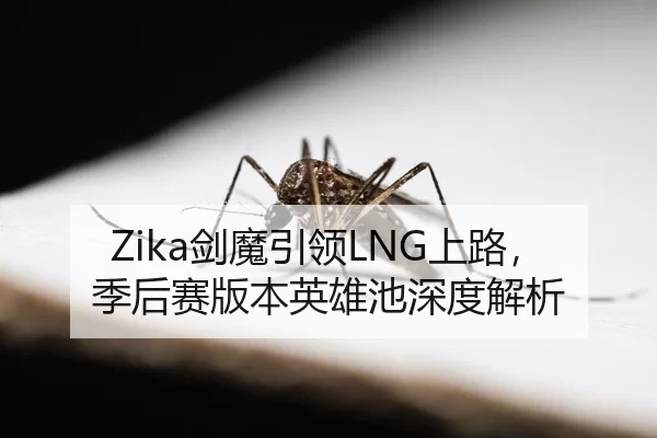 Zika剑魔引领LNG上路，季后赛版本英雄池深度解析